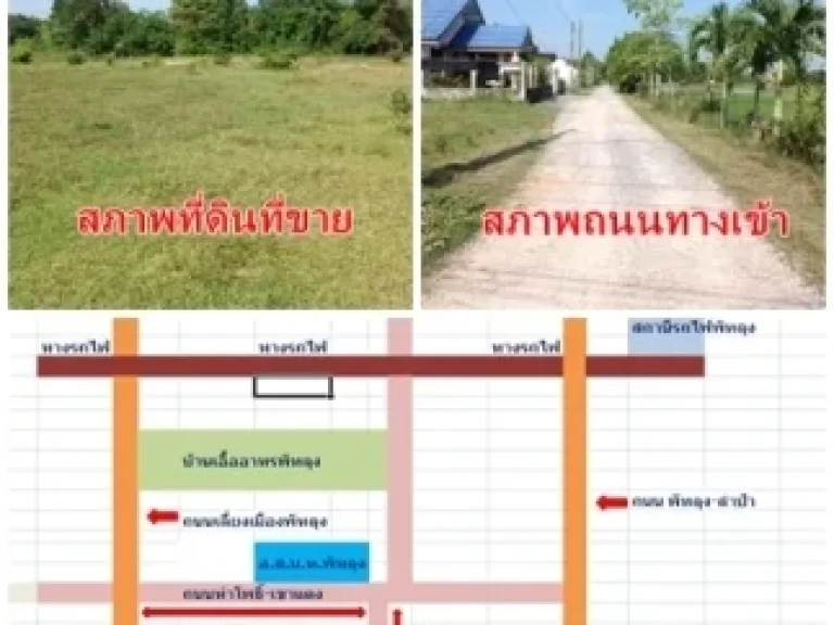 ขายที่ในซอยเยื้อง สถานีวิทยุ อสมท พัทลุง ตควนมะพร้าว