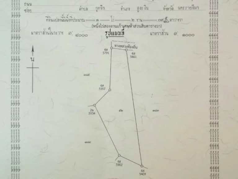 ที่ดินติดถนนคอนกรีต หลังอำเภอเฉลิมพระเกียรติ 1-2-9 ไร่ 95 แสน