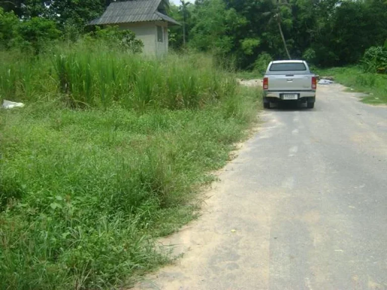 ที่ดิน1งานในชุมชนบ้านหุบบอน