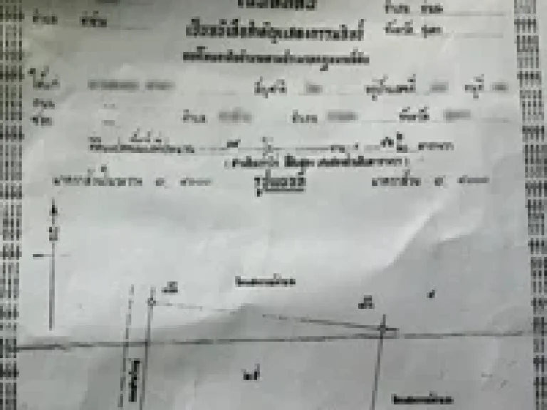 ขายสวนปาล์ม 39 ไร่ พร้อมบ้าน 1 หลัง ที่สวยมีโฉนด อท่าข้าม จชุมพร ราคาถูก