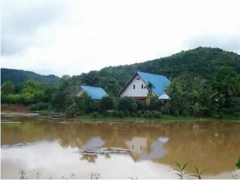 ที่ดินราคาถูก เหมาะสำหรับทำรีสอร์ท วิวสวย บรรยากาศดี มีบ้านพักอยู่แล้ว 3 หลัง หลังใหญ่มาก ราคาไม่แพงเหมาะสำหรับคนที่อยากทำธุรกิจ