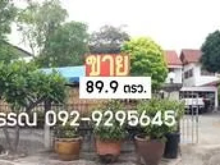 ขายที่ดิน 89 ตรว ใกล้ถพระยาสัจจา อเมือง ชลบุรี