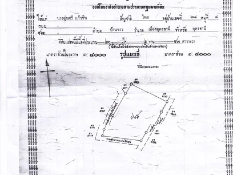 ประกาศขายที่ดิน 21ไร่ 2งาน 83ตารางวา ราคาไร่ละ 150000 บาท