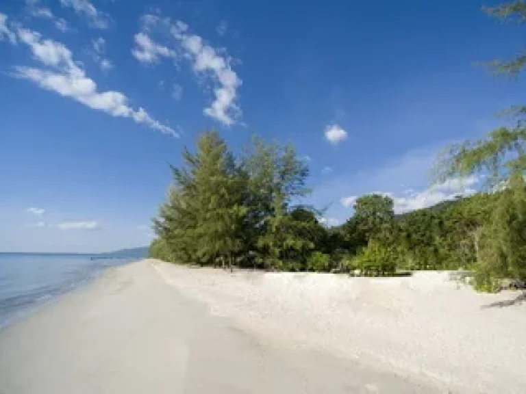 ที่ดิน 65 ไร่ ติดทะเล หาดทับทิม ราชการุณย์ ถสุขุมวิท อเมืองตราด จตราด ที่ดินติดทะเล ด้านข้างอยู่ติดกับโรงแรมเซ็นทารา ชานทะเล ด้านหน้าติดทะเล 330 เมตร