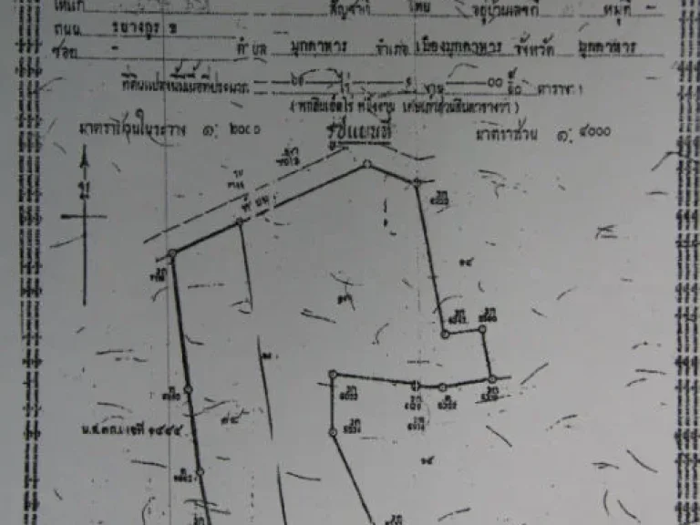 ขายด่วน ที่ดินตาดแคน 12 ราคาระดับชาวบ้าน