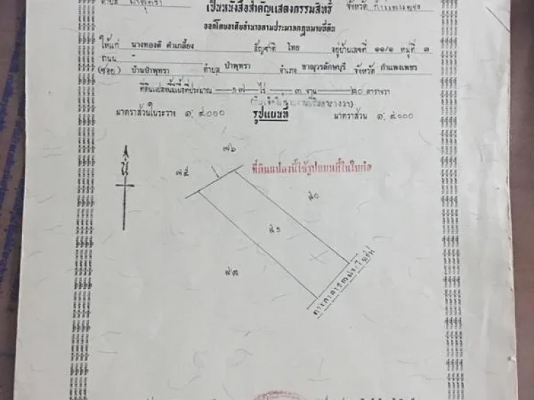 ขายที่ดินติดถนนใหญ่ 18 ไร่ เศษ ตป่าพุทรา อขาณุวรลักษณ์ จกำแพงเพชร