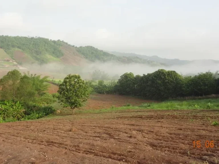 ขายที่ดิน2ไร่ บ้านนายาว ทุ่งสมอ เจ้าของขายเองไม่ผ่านนายหน้า