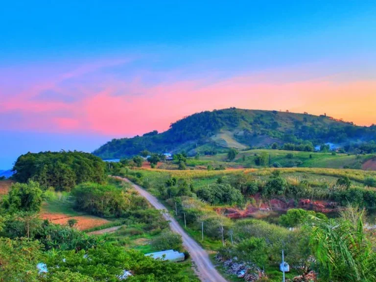 Khaokor land ที่ดินเขาค้อติดทางหลวง