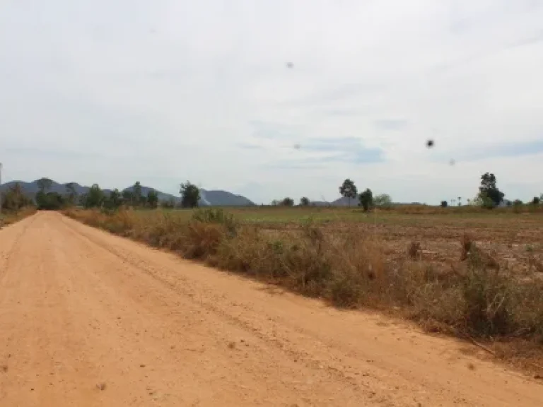 ขายที่ดิน 33 ไร่ ตไร่ใหม่พัฒนา อชะอำ จเพชรบุรี เหมาะแก่การประกอบธุรกิจ อยุ่ใกล้มหาวิทยาลัยศิลปากร