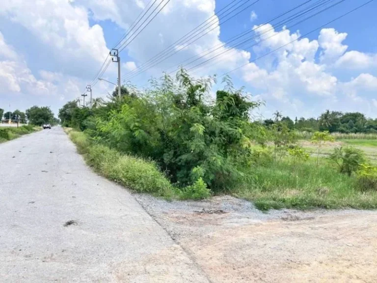 ขายที่ดิน ต่ำกว่าราคาประเมิณ ติดถนนลาดยาง ไทรน้อย นนทบุรี