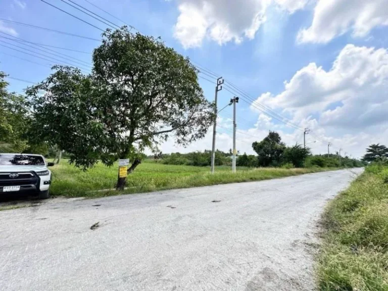 ขายที่ดิน ต่ำกว่าราคาประเมิณ ติดถนนลาดยาง ไทรน้อย นนทบุรี