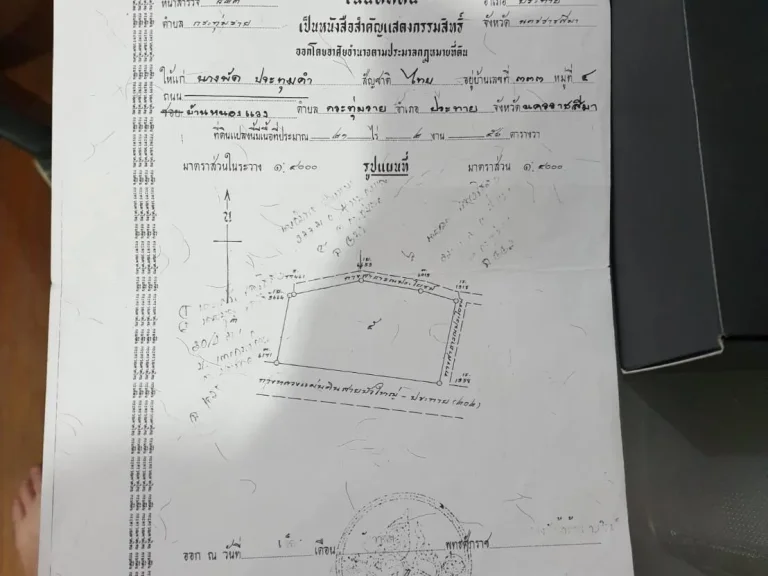 ที้ดินดปล่า