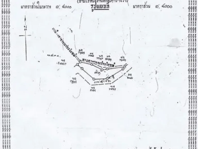 ขายที่ดินมีโฉนด อำเภอเวียงแก่น