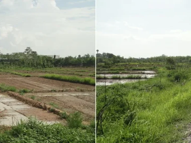 ขายที่ดินเปล่าติดถนนเลียบทางรถไฟลำพูน-เชียงใหม่ 6ไร่ 2งาน 85ตรว