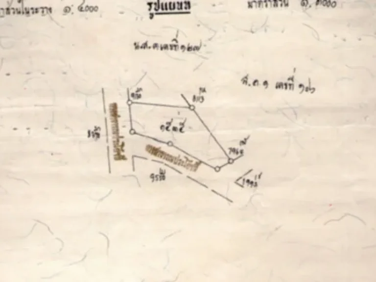 ขายที่ดินเปล่า 136 ตรว หน้าวัดสระบัวเกลื่อน ตบ้านเกาะ อเมือง