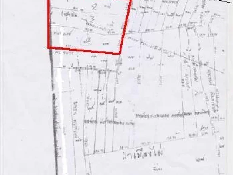 ขายที่ดินอำเภอหนองกี่ 67 และ 75 ไร่ ติดถนนสาย 24 หน้ากว้างประมาณ 120 เมตร