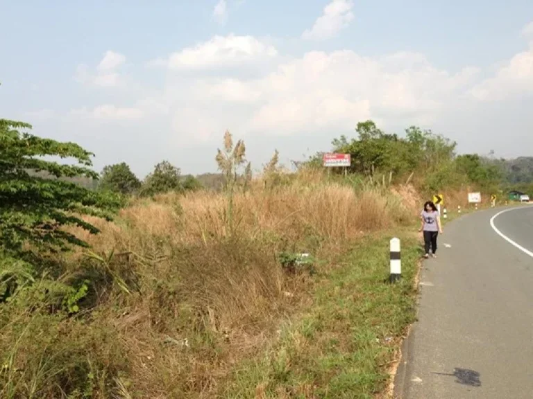 ขายที่ดิน จังหวัดแพร่ ติดถนนหลัก 4 เลนส์ ทำเลดีมาก