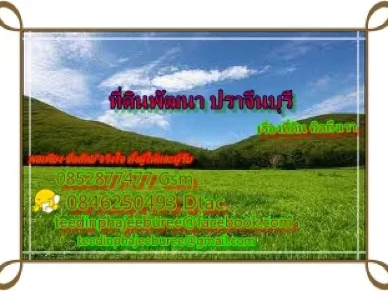 ที่ดินสวยยกแปลงใกล้ชุมชน รพส่งเสริมสุขภาพ ไฟฟ้าประปาพร้อมยกแปลง 379999 บาทพร้อมโอน เหมาะปลูกบ้านเก็บไว้ให้ลูกหลาน