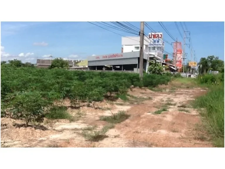 ที่ดินสวยทำเลดี 7ไร่ ติดถนนบางนา-ตราด สาย36 ติดนำแสงไฟฟ้า