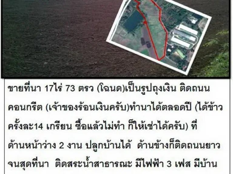 ขายที่นา 17ไร่ 73 ตรว โฉนดเป็นรูปถุงเงิน ติดถนนคอนกรีต