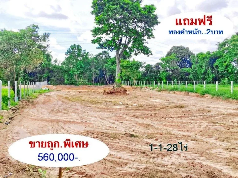 ที่ดิน1-1-28ไร่ 560000- ขายถูกพิเศษ เท่านั้น ยกแปลง