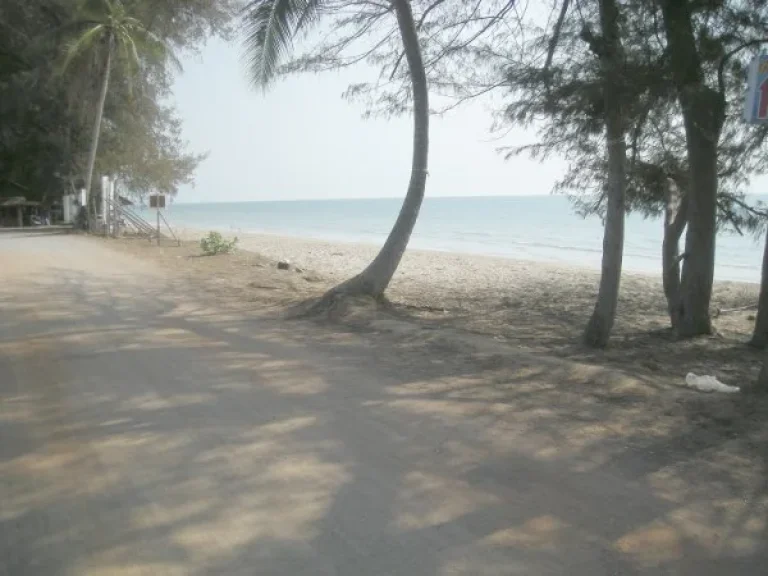 ขายที่ติดทะเล หาดหัวยยาง ทับสะแก ประจวบ ไกล้หาดวนกร ด่านสิงขรไปพม่า