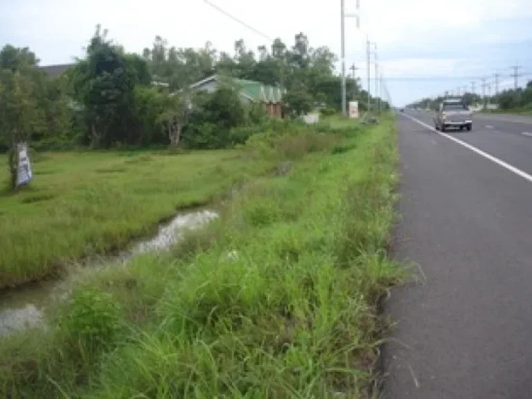 ขายที่ดินสวยๆ ทำเลทอง ติดถนน 4เลน สายหลักอุบล-ตระการ