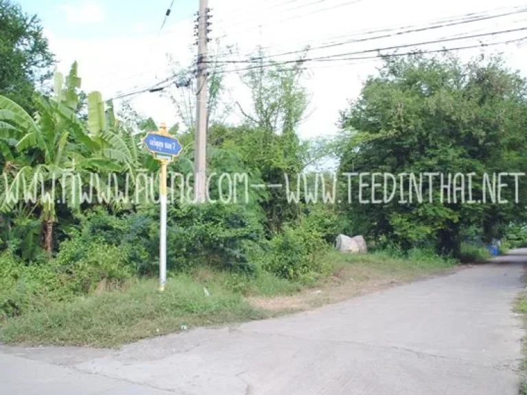 ขายที่ดิน 200 ตรว โฉนด ตโคกสำโรง อโคกสำโรง จลพบุรี รหัส 1556