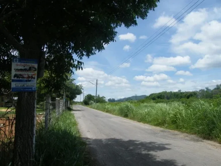 ขายที่ดิน 30 ไร่ ห่างถนนลาดยาง 300 มน้ำไฟพร้อม มีต้นไม้สัก ต้นไม้ใหญ่เยอะมาก ตกลางดง อปากช่อง ห่างถนนมิตรภาพ 4 กม ที่ดิน ภบท5 ขายไร่ละ 7