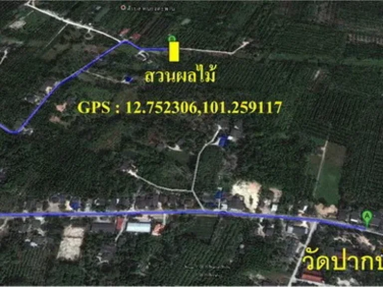 สวนผลไม้ 2 และ 5 ไร่ละ 55แสนบาท ที่หนองตะพาน สนใจ ติดต่อ นิติพัฒน์ 0874150645