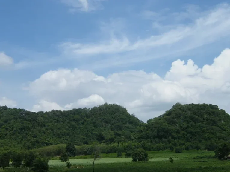 ขายที่ดิน 20 ไร่ คลองม่วง อปากช่อง ห่างจาก ถมิตรภาพบายพาส ประมาณ 20 กม ราคาขายด่วนถูกมากไร่ละ 380000 บ