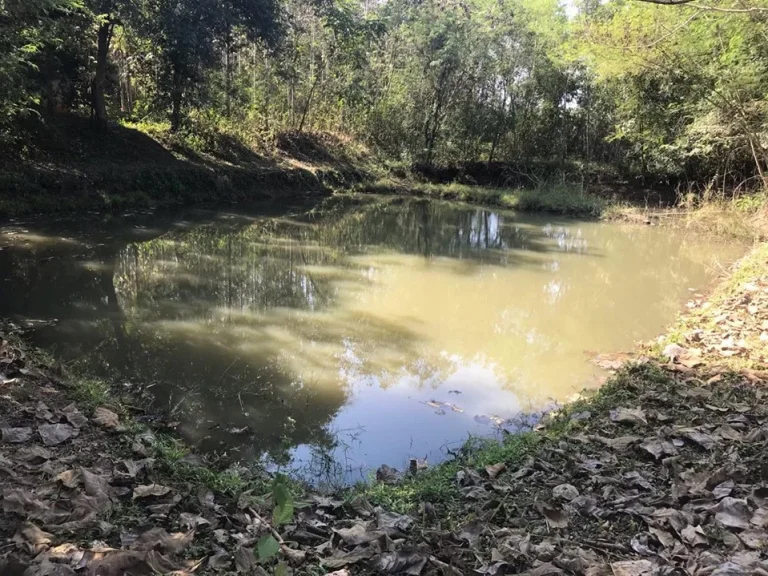 ขายที่ดิน นส4 20 ไร่ หลังโลตัสน่าน