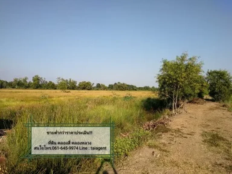 ขายที่ดิน คลอง4 คลองหลวง ขายราคาต่ำประเมิน 10ไร่ คลองสี่ฝั่งตะออก ซอยข้างวัดตะวันเรือง