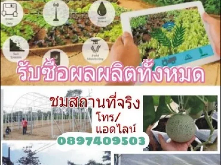 ขายบ้านพร้อมรายได้ โครงการแก่งกระจาน Smart Farmer เนื้อที่ 2ไร่ จเพชรบุรี