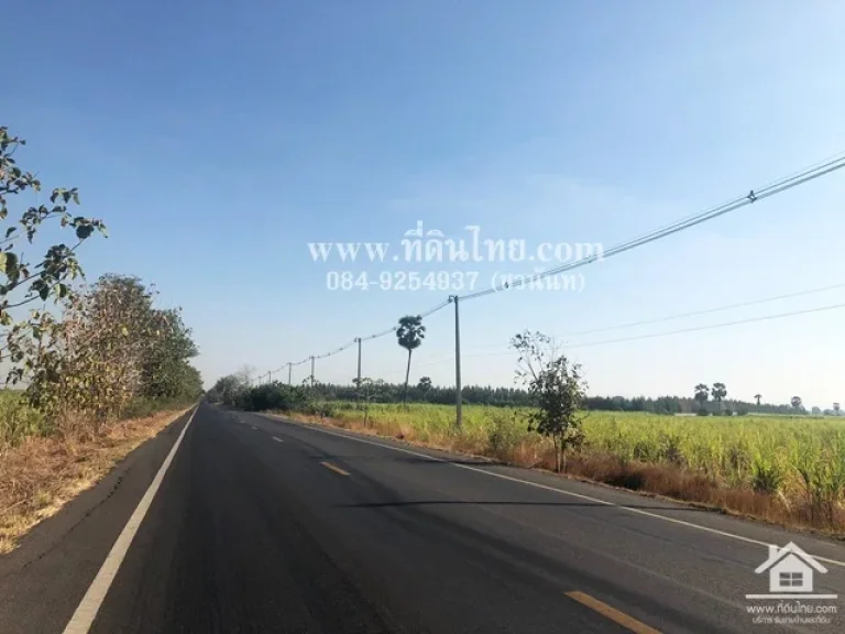 ขายที่ดินหนองม่วง-ขายที่ดินลพบุรี 14 ไร่ 1 งาน 45 ตรวโฉนด ตยางโทน อหนองม่วง จลพบุรี รหัส L317