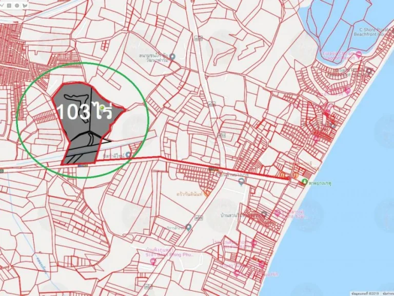 ขายที่ดินเนื้อที่ 103ไร่ ถนนสายบ้านหนองตาพต-บ้านบางเกตุ พบ1045 ซะอำ เพชรบุรี