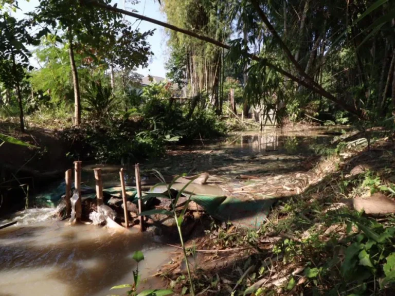 ขายที่ดินสำหรับลงทุน ใกล้วัดร่องขุ่น จังหวัดเชียงราย