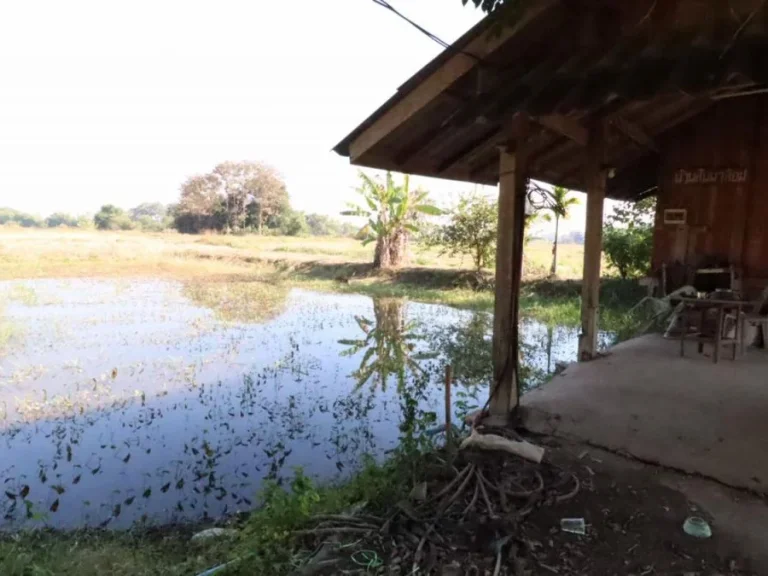 ขายที่ดินสำหรับลงทุน ใกล้วัดร่องขุ่น จังหวัดเชียงราย