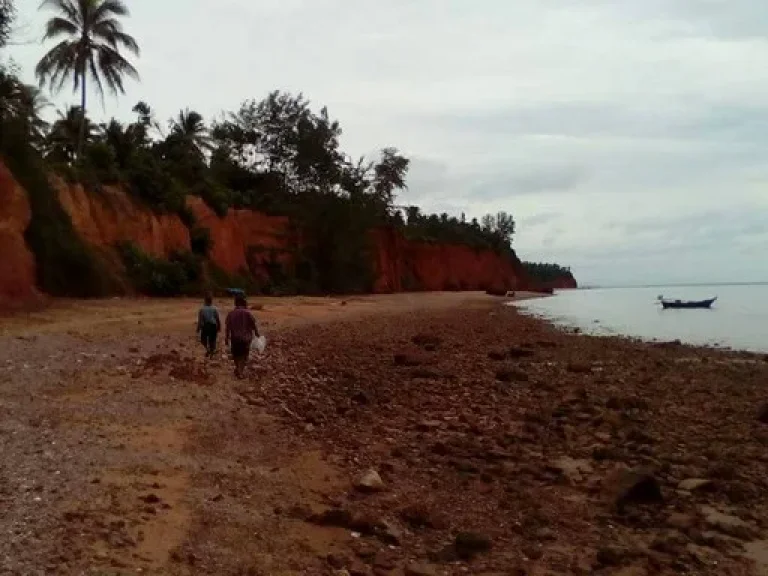 ขายที่ดินติดหาดทะเล อบางสะพานน้อย ประจวบขคีรีขันธ์ เนื้อที่ 9ไร่ๆละ 2 ล้านบาท