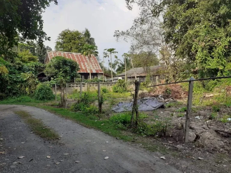 ขายที่ดินติดถนนสองด้าน ท่าศาลา อำเภอเมืองเชียงใหม่