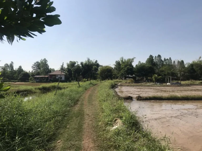 ขายที่ดินการเกษตร ตเชียงยืน อเมืองอุดรธานี 41000