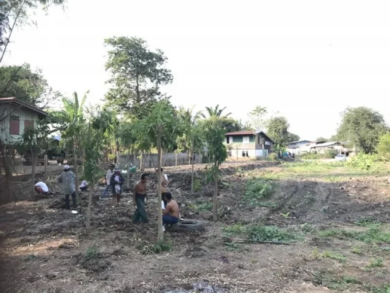 ที่ดินติดแม่น้ำ สุพรรณบุรี แม่น้ำท่าจีน อบางปลาม้า จสุพรรณบุรี