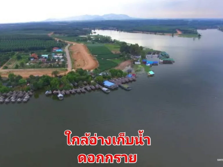 ขายที่ดินสำหรับโรงงานจัดสรรขายหรือซื้อเพื่อเกร็งกำไร ราคาต่ำกว่าทุน ปลวกแดง