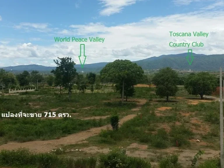 ขายที่ดิน ปากช่อง เขาใหญ่ โป่งตาลอง เนื้อที่ 1 ไร่ 3 งาน 15 ตารางวา 715 ตารางวา