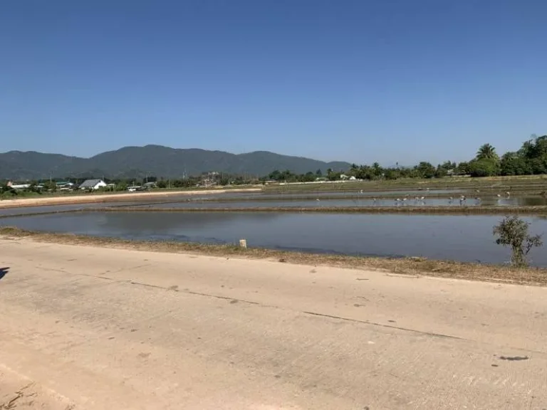 บ้านเดี่ยวสร้างใหม่ บรรยากาศดีมาก แม่ฟ้าหลวง-ท่าสุด อเมือง จเชียงราย