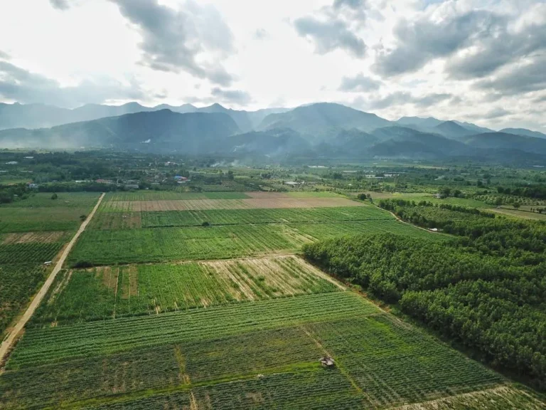 ขายที่ดิน 810ไร่ จเชียงใหม่ ที่ดินสวย พื้นที่ติดกันขนาดใหญ่