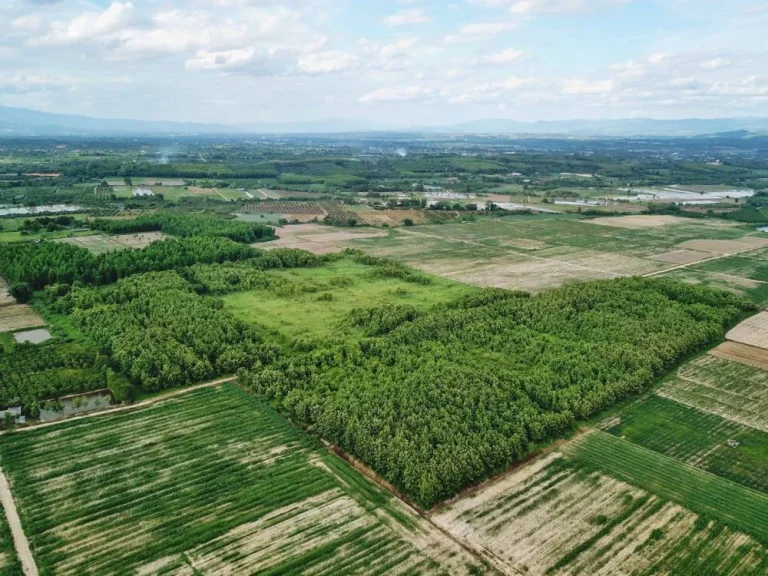 ขายที่ดิน 810ไร่ จเชียงใหม่ ที่ดินสวย พื้นที่ติดกันขนาดใหญ่