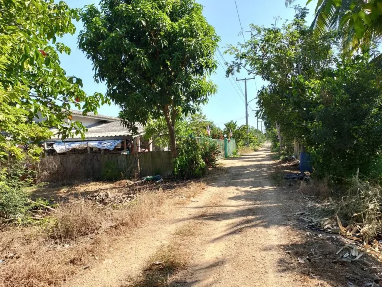 ขายที่ดิน 2-1-58 ไร่ ซโรงงานน้ำหอม หนองเสือ เลียบคลอง 11 ถรังสิต-นครนายก ปทุมธานี