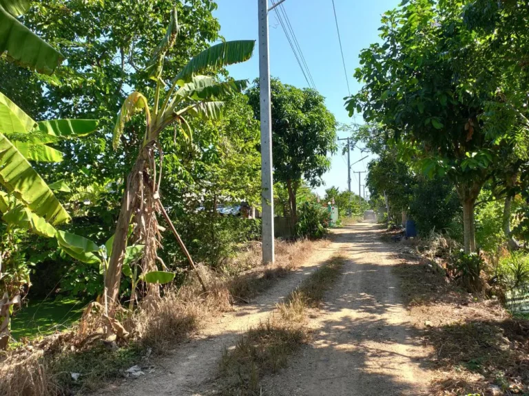 ขายที่ดิน 2-1-58 ไร่ ซโรงงานน้ำหอม หนองเสือ เลียบคลอง 11 ถรังสิต-นครนายก ปทุมธานี