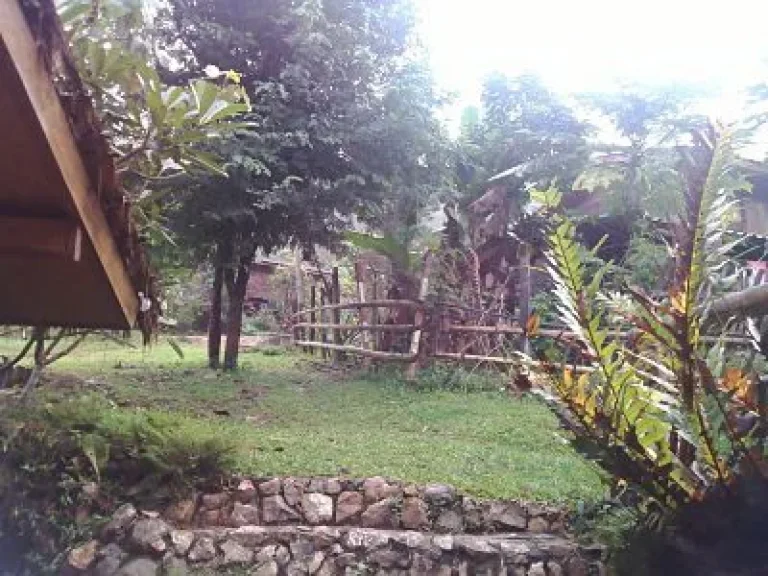 Lease Land on the Top Mountain View Called DOI with Wooden House Home stay